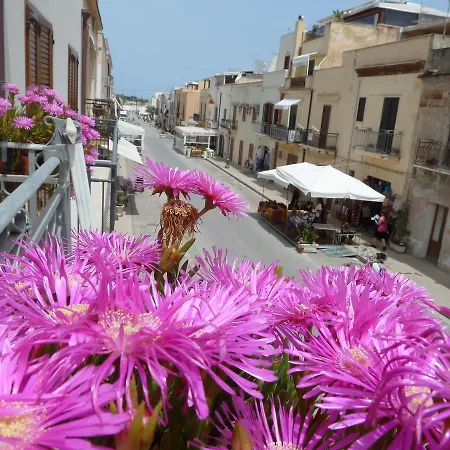 Apartment Homenza